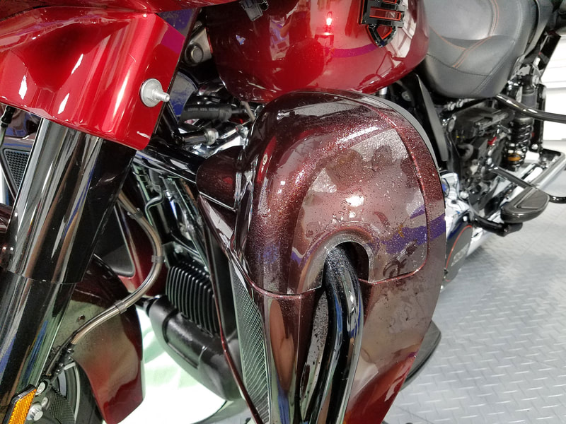 Harley Davidson Clear Bra Clearshield Protection Palm City